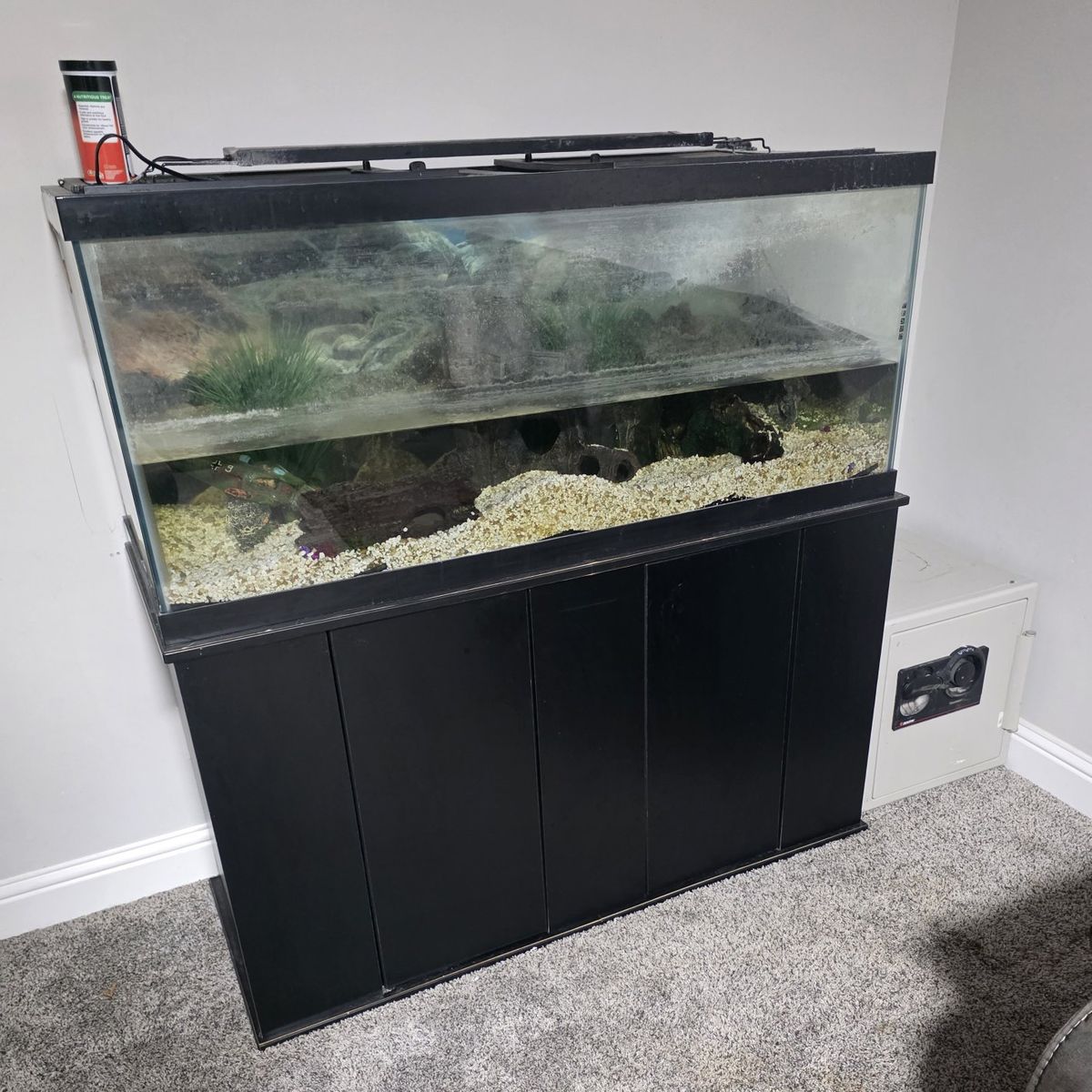 Fish Tank and stand