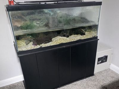 Fish Tank and stand
