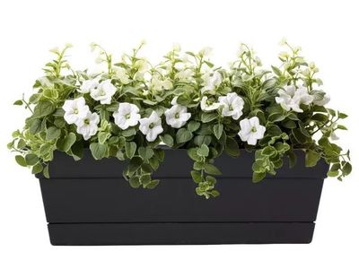 Bloem Dura Cotta 30" Plastic Window Box Planter with Saucer Tray, Black