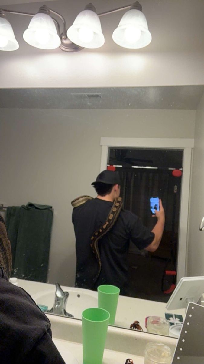 Img motley boa constrictor