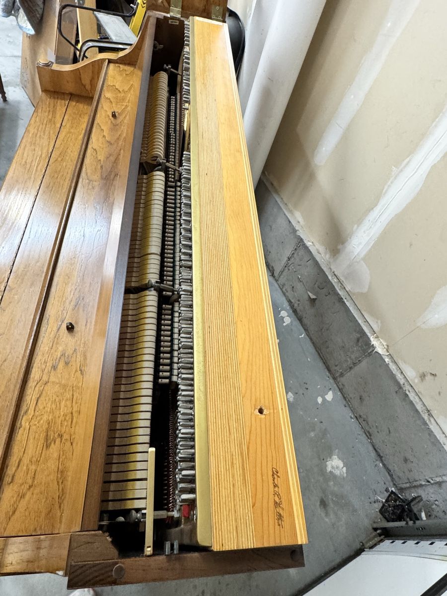 Main image 6