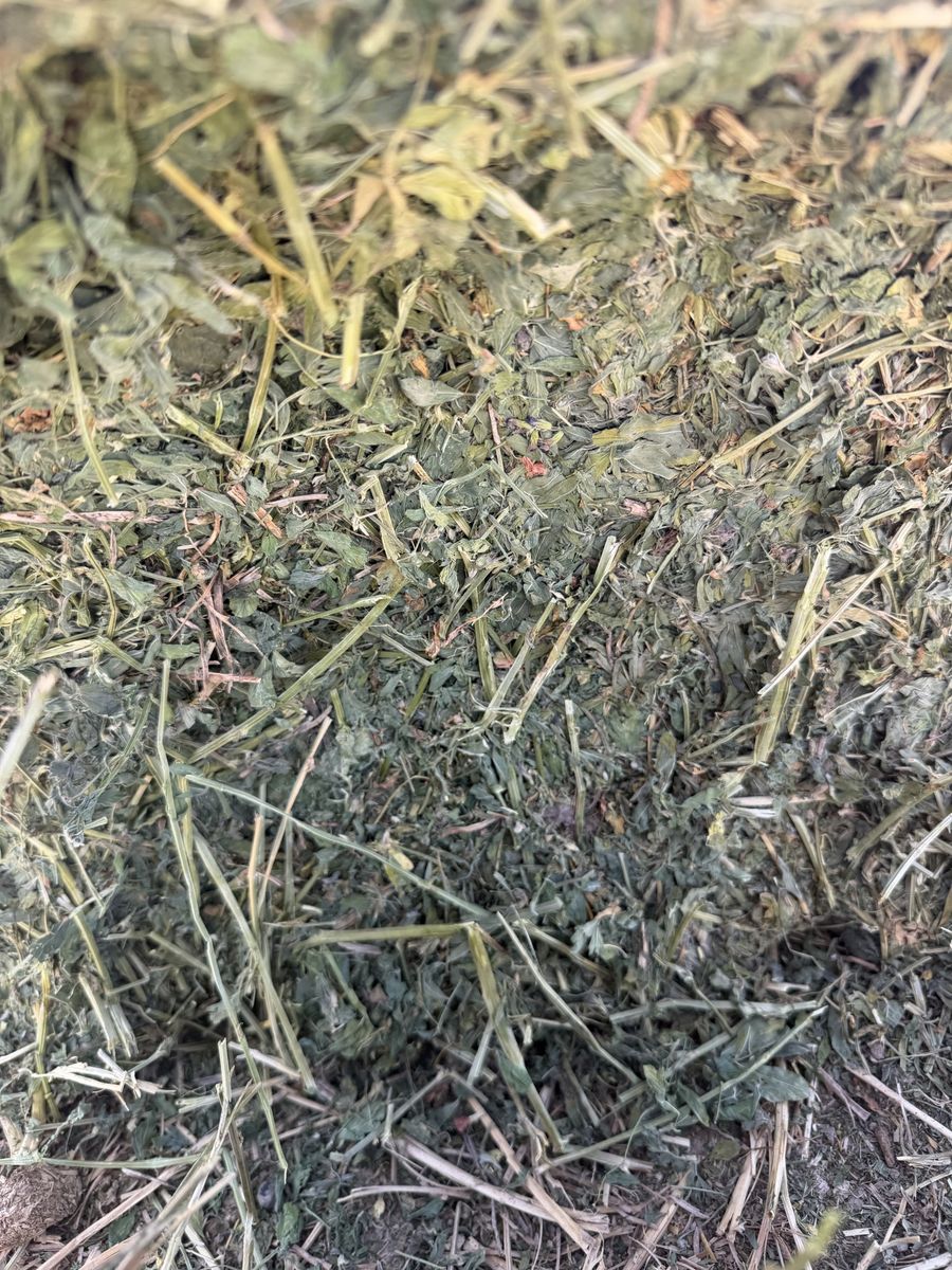 21-bale bundles 2-string Alfalfa