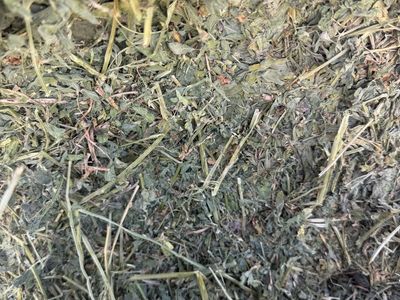 21-bale bundles 2-string Alfalfa