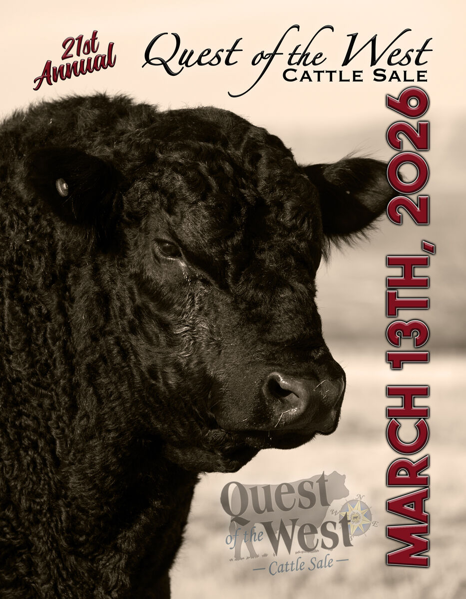 21st Annual Quest of the West Cattle Sale