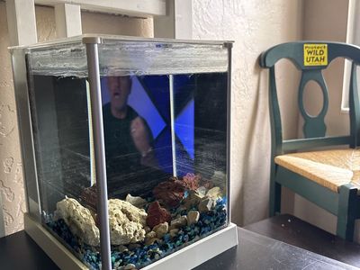 Compact Small Fish Tank / Nano Aquarium