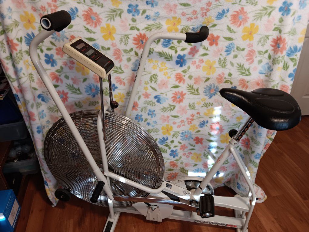 Schwinn airdyne