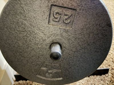 9 weight plates 25 lbs