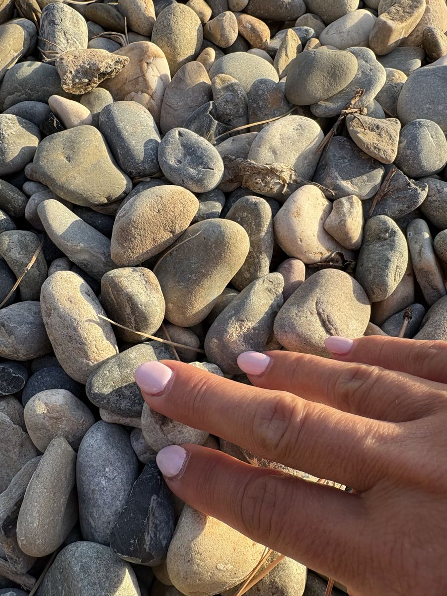 FREE Decorative rocks