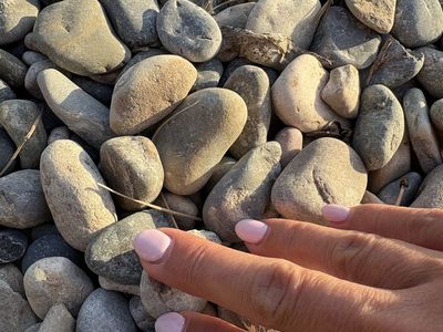 FREE Decorative rocks