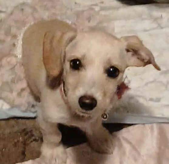 Hello my name is Matilda