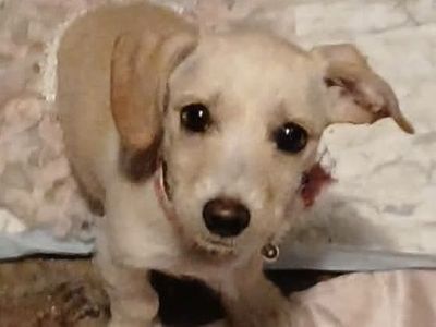 Hello my name is Matilda