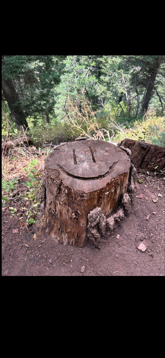 Free generator advice!