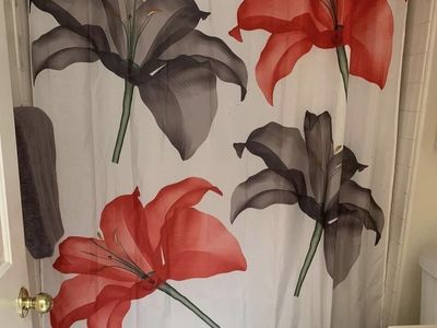 Shower Curtain