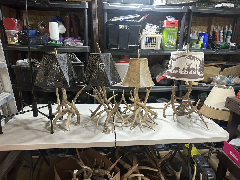 Deer Antler Lamps