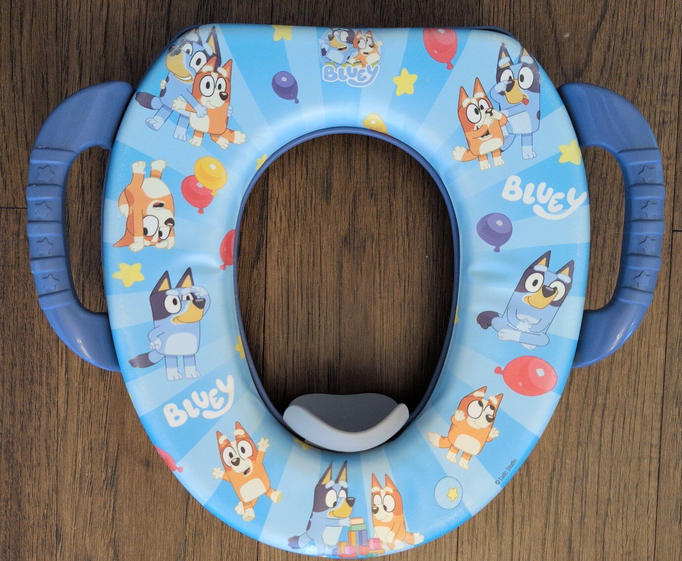 Bluey potty seat