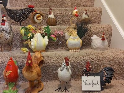 Miscellaneous Chicken Decore