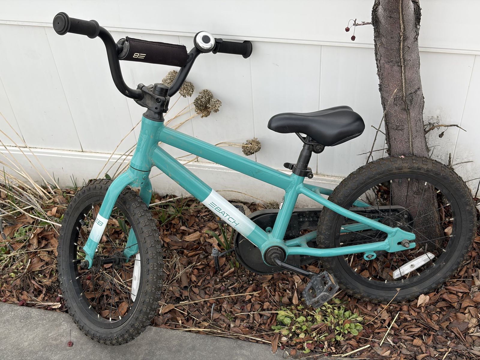 Batch 16” Youth Bicycle