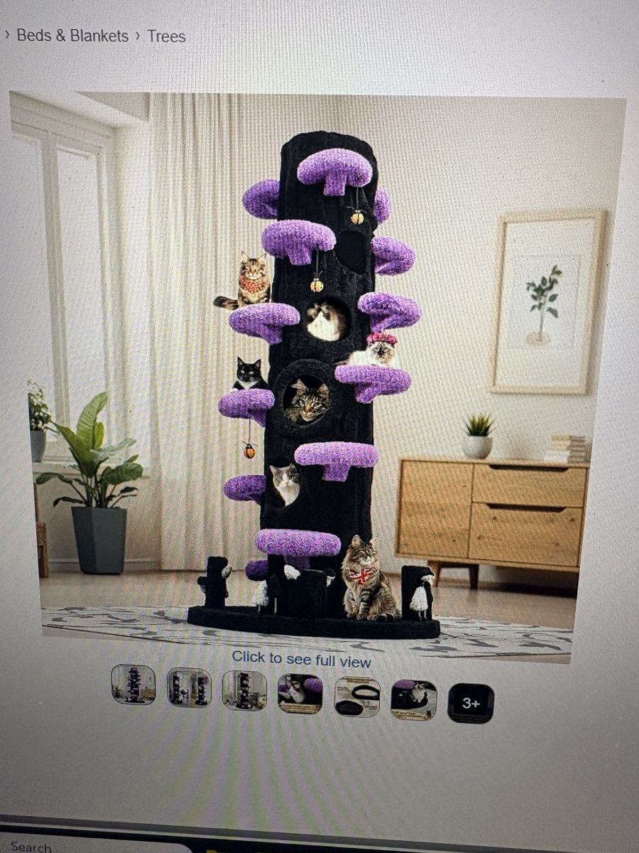 Main image 3