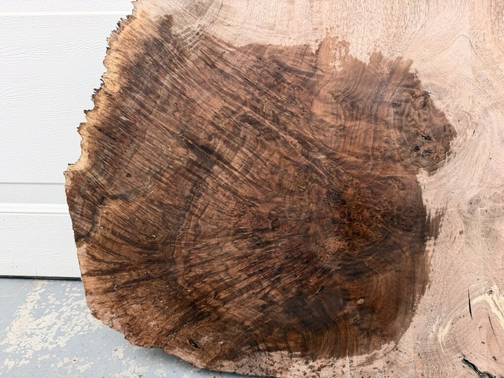 Claro Walnut Burl Slab - Kiln Dried And Flattened