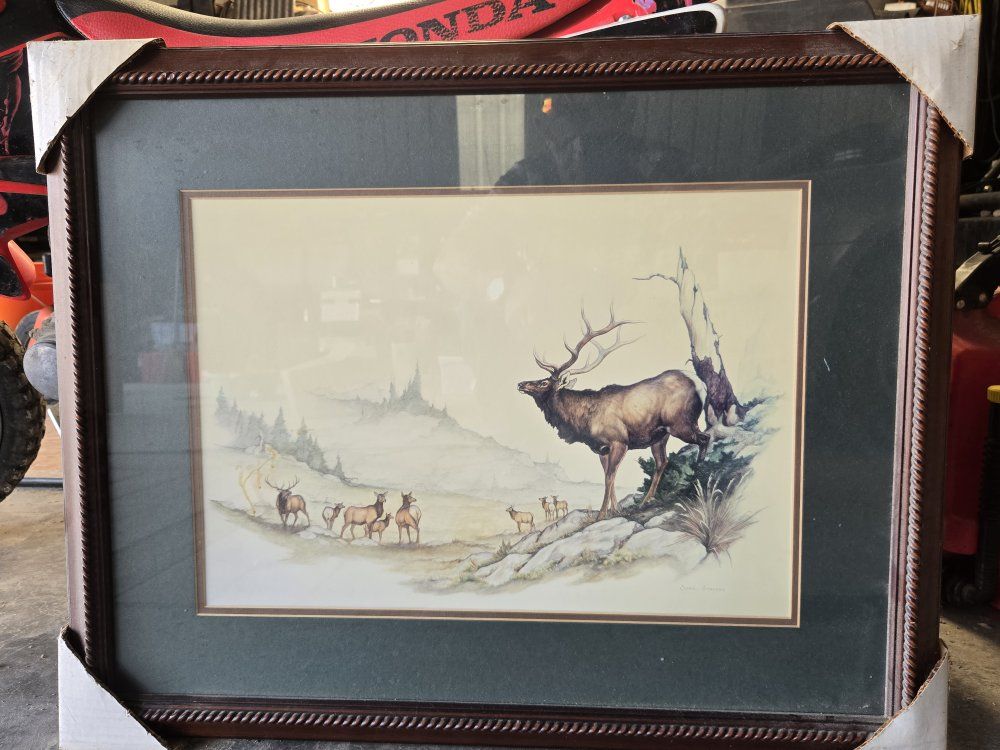 Main image 4