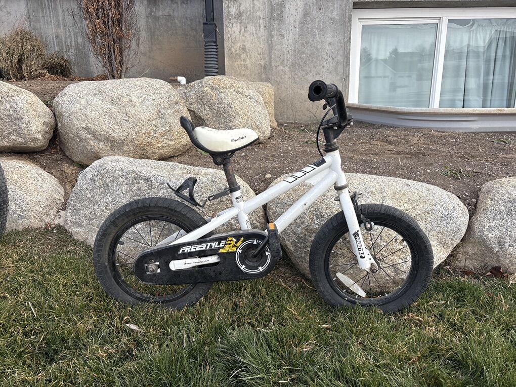 Royal Rider kid Bike