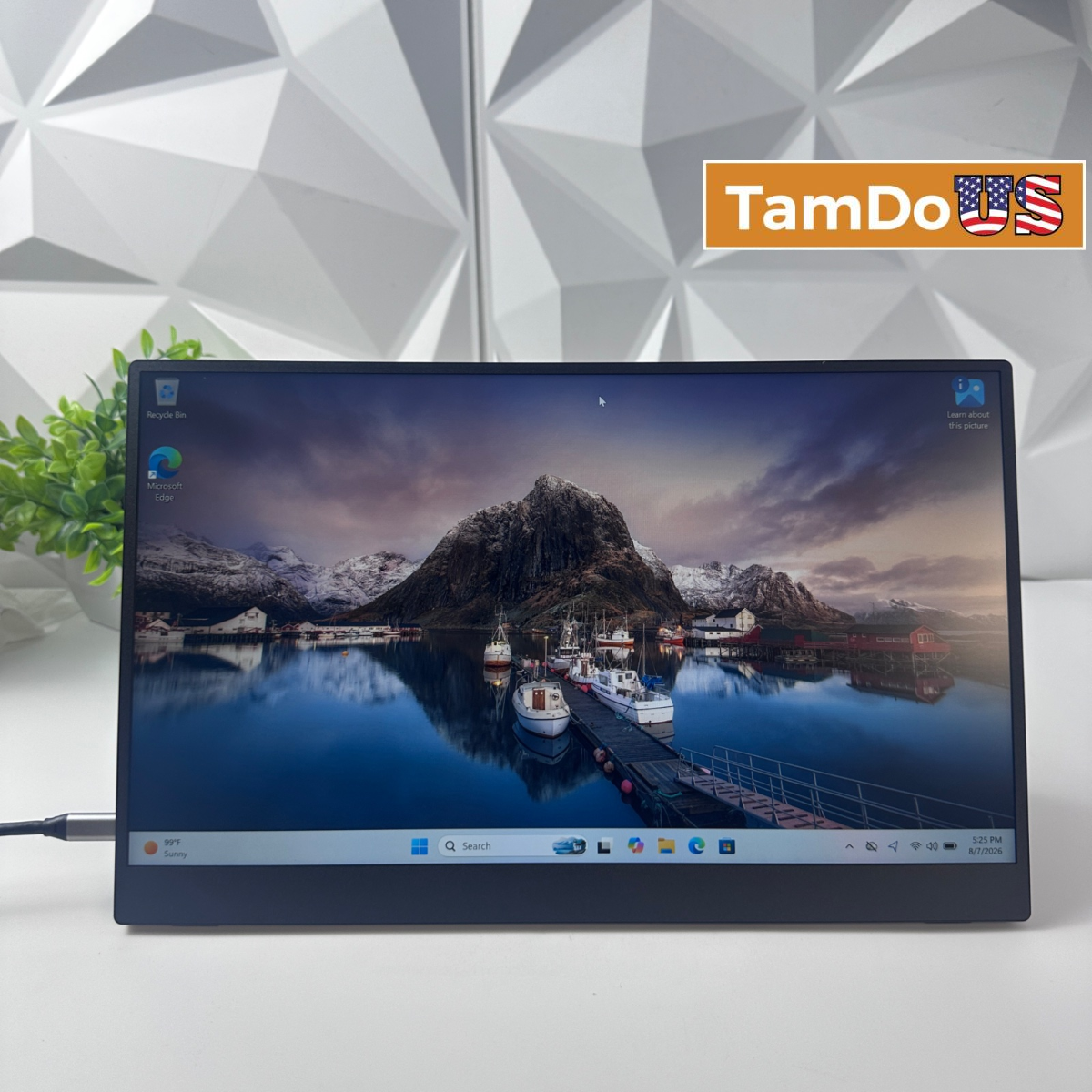 VILVA V156F1 15.6" Portable Monitor FHD 1080P IPS USB-C Mini HDMI Smart Cover