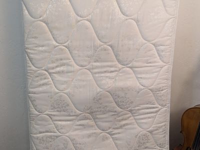 FREE Twin Spring Mattress