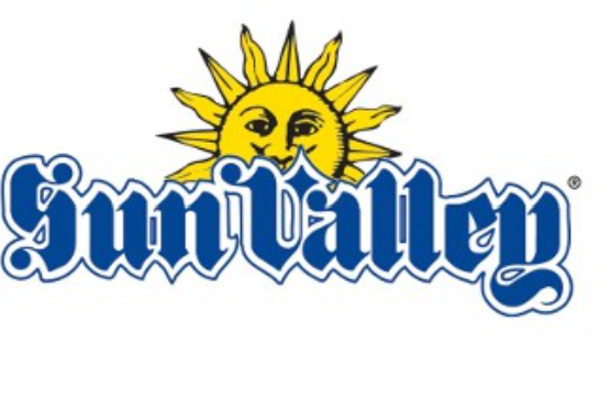 Sun Valley ski pass lift tickets. 4 tickets total.