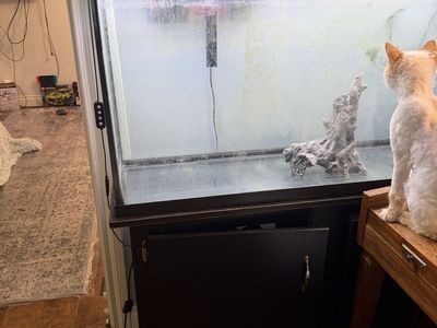 65-Gallon Fish Tank with Stand, Marineland Bio-Wheel 350 Filter, and SEAOURA LED Light