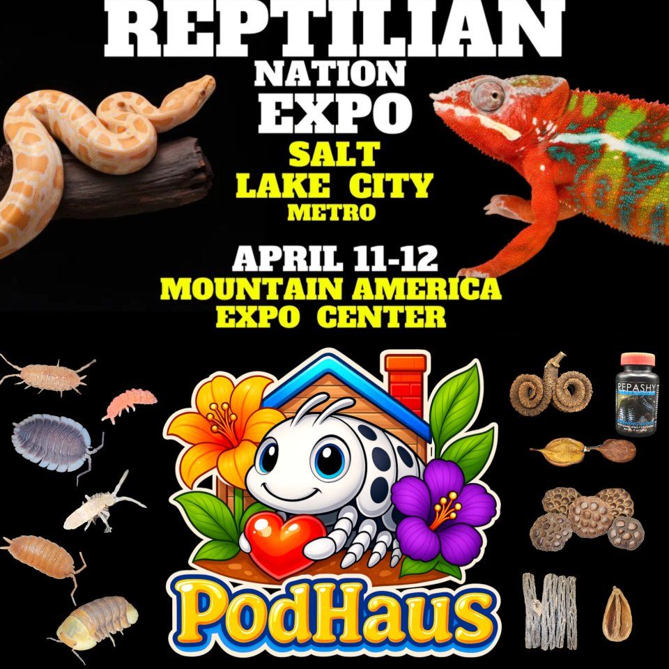 Huge variety of Isopods, Springtails, and supplies
