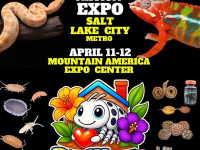 Huge variety of Isopods, Springtails, and supplies