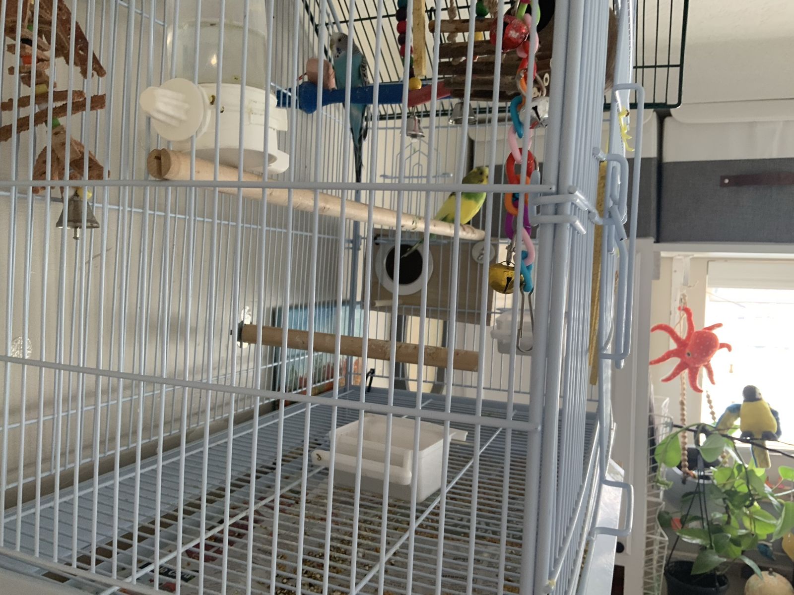 Main image 6