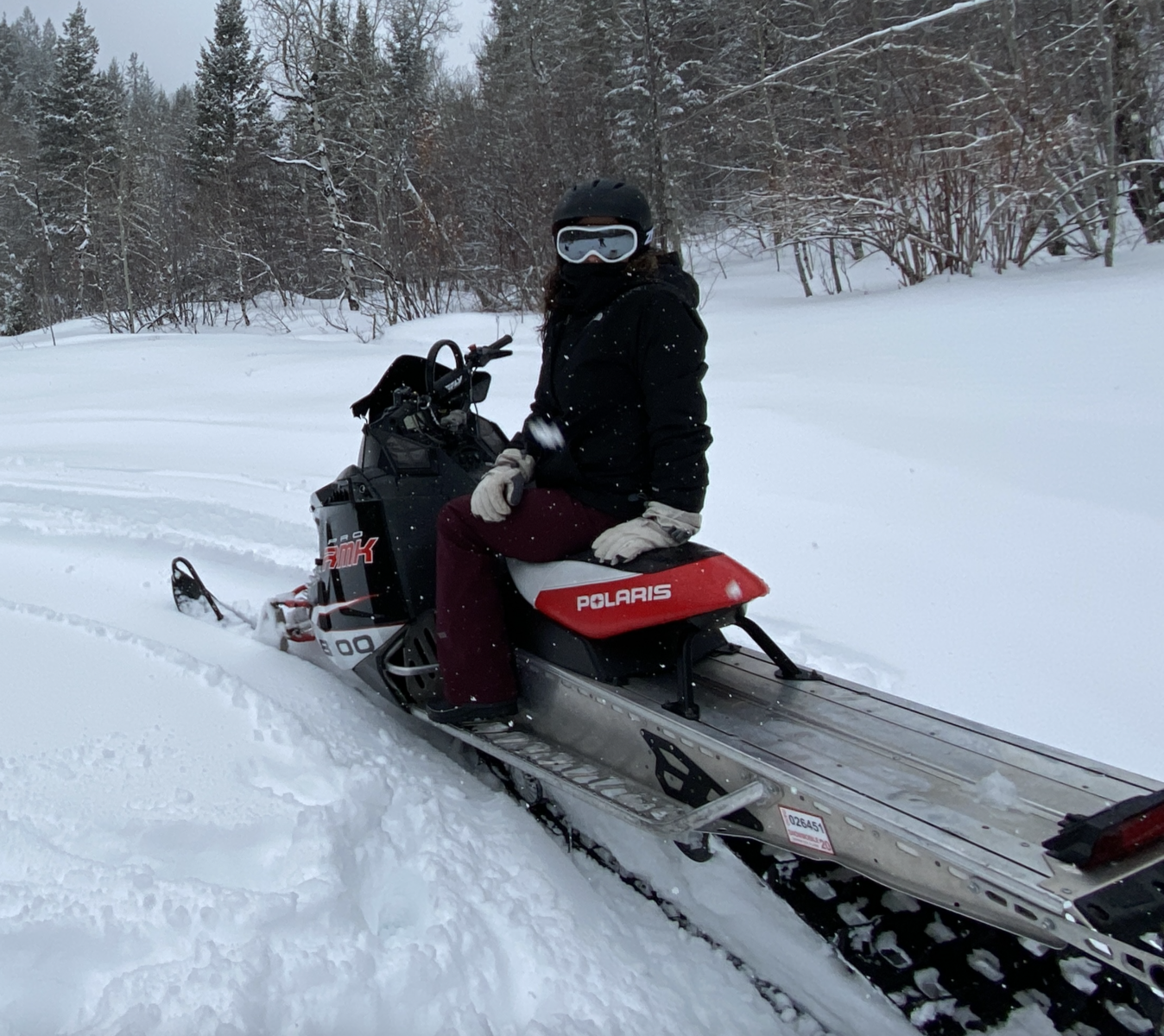 2012 Polaris 800 RMK Pro