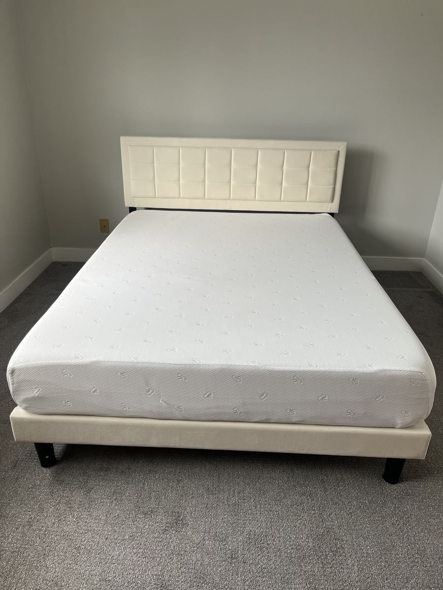 Cream Velvet Upholstered Queen Bed with Tufted Headboard