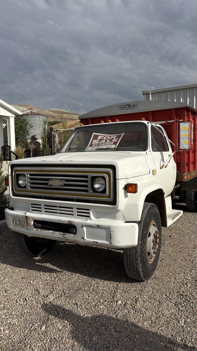 1978 Chevrolet C60 Grain Truck - White, Heavy-Duty, Runs
