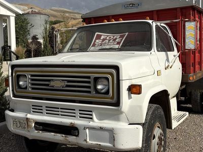 1978 Chevrolet C60 Grain Truck - White, Heavy-Duty, Runs