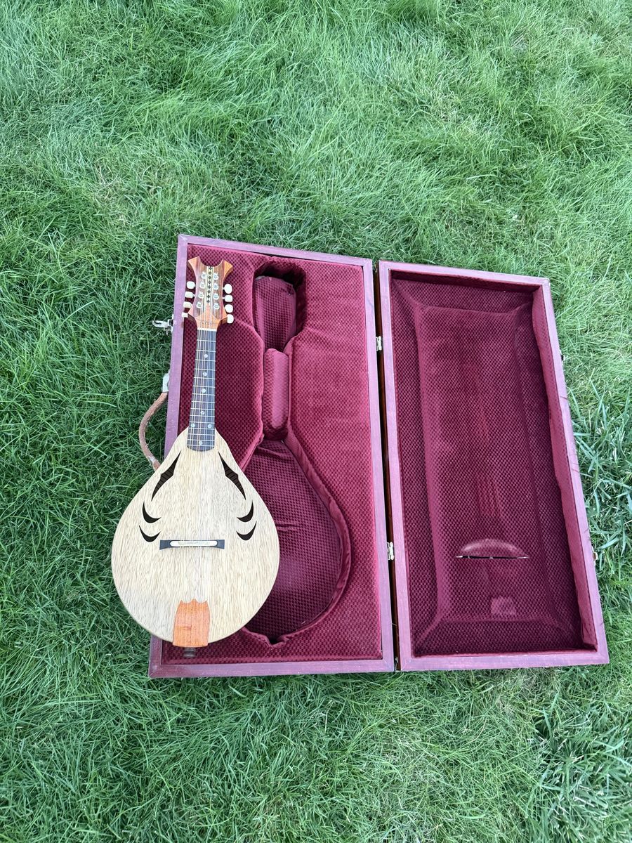 Haunted Mandolin - Prison Made