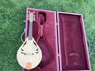 Haunted Mandolin - Prison Made
