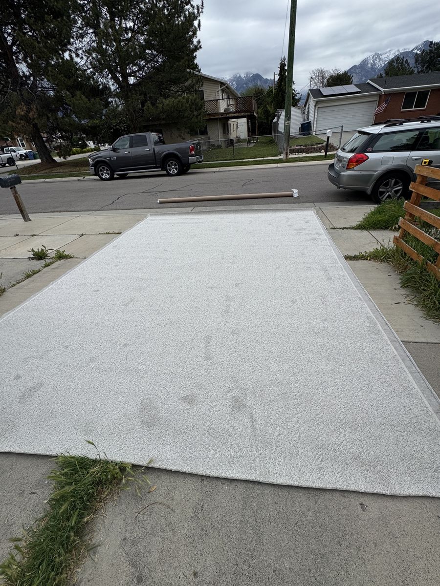 Brand New Carpet