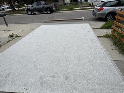 Brand New Carpet