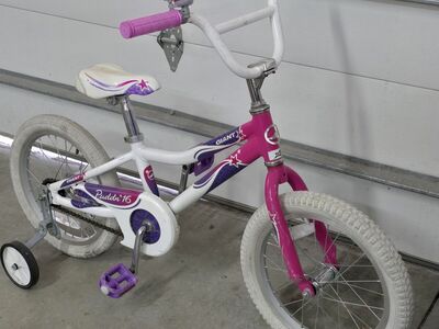 Giant Puddn 16" wheel just cleaned and tuned