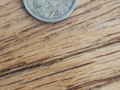 2000-P Sacagawea Golden Dollar Coin