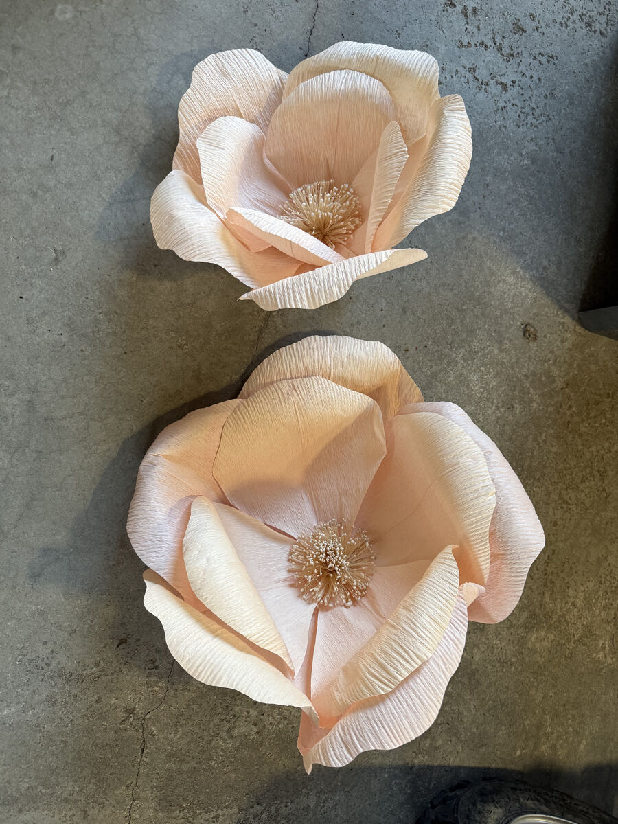 Pottery Barn Jumbo Crepe Pink Paper Flowers Set