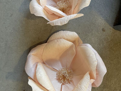 Pottery Barn Jumbo Crepe Pink Paper Flowers Set