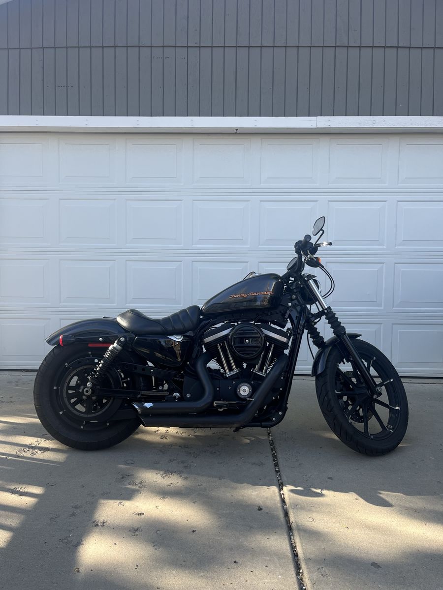 2019 Harley Davidson Iron 883 Sportster