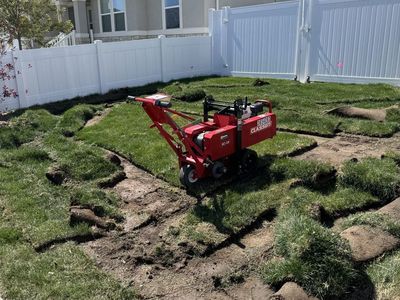 Free Sod. Cut today
