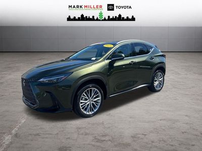 2025 Lexus NX 350h Premium