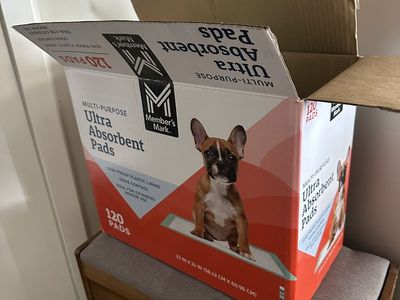 Puppy Pads Ultra Absorbent