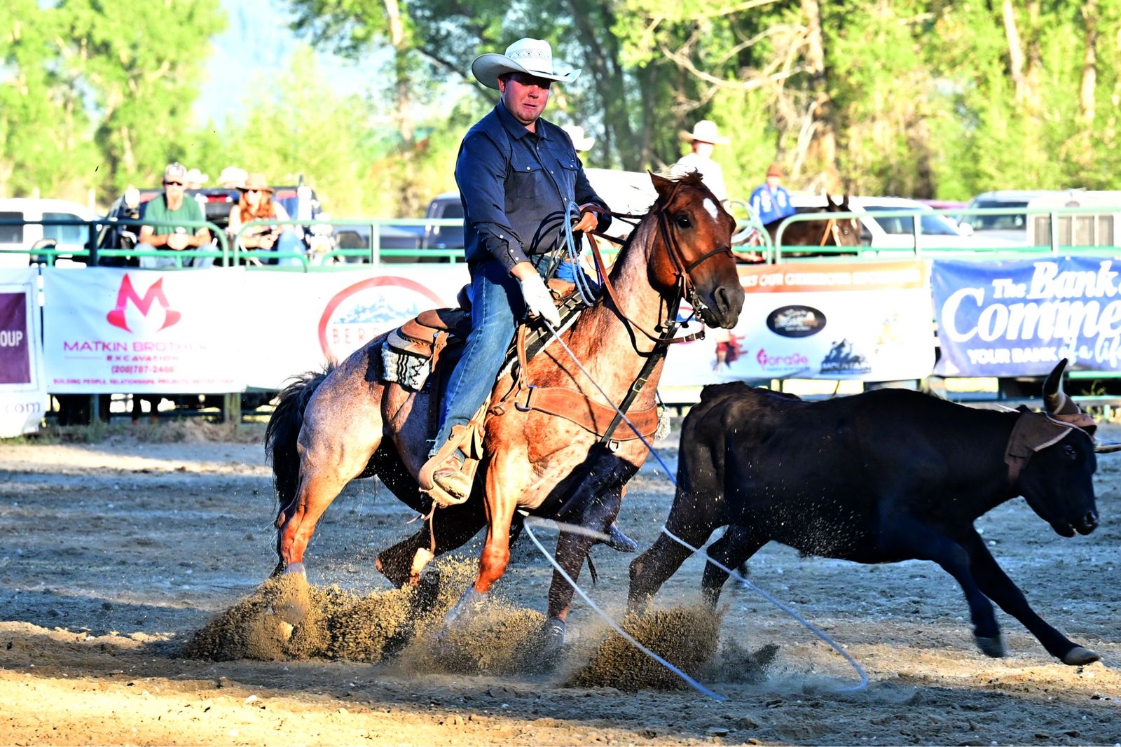 Rope Horse Training