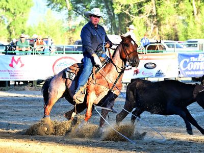 Rope Horse Training